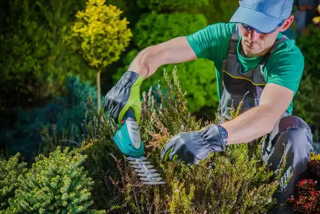 landscaping services Grand Ledge